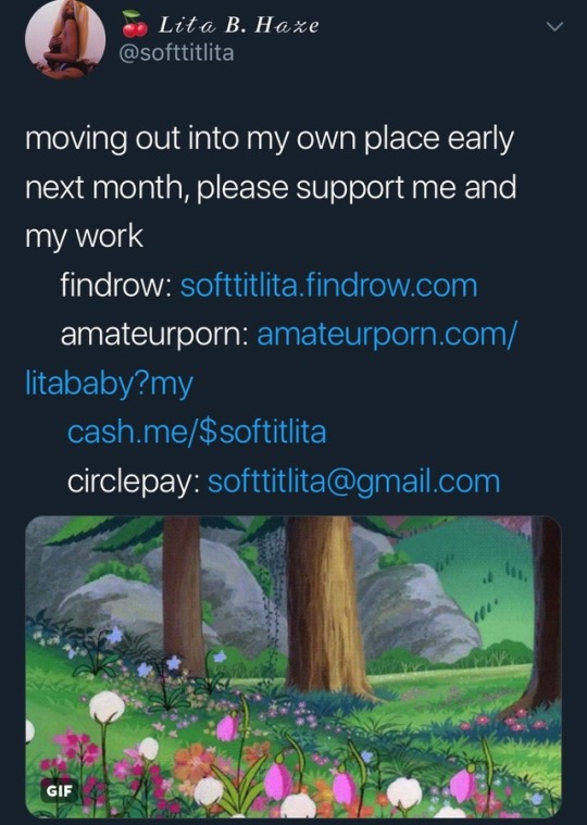 softtitlita:    ☁️ help me reach my moving out goal of 700$ ☁️