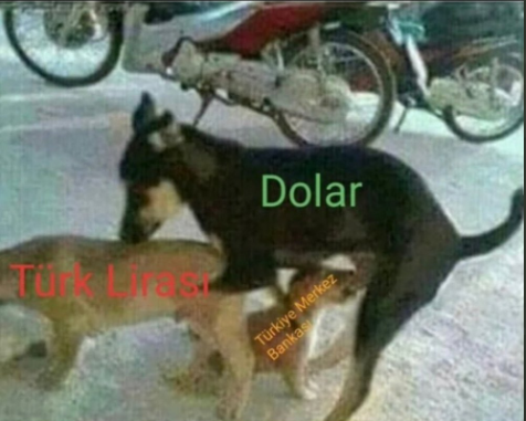 TU Dolar Türkiye Merkez...