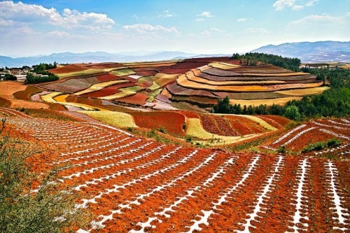 ryanpanos: The Red Earth Terraces of Dongchuan, China | Via Some 250 kilometers northeast of Kunming