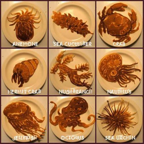 Sea creature pancakes… brilliant. 