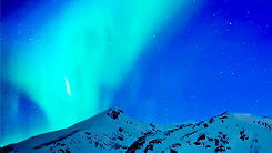   To the Arctic 3D (2012)  