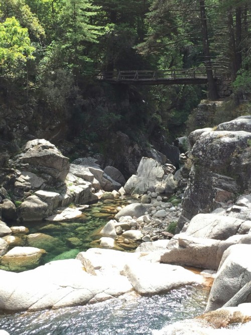 Excursión al Parque Nacional Peneda-Geres, septiembre 2015.