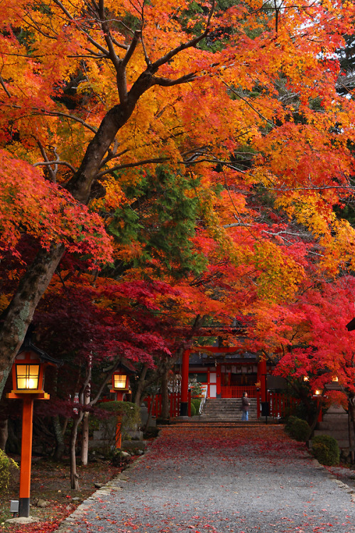 daitao:by U-92SAN