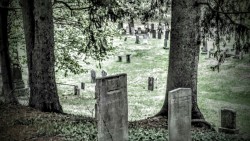 swforester:  Cemetery scene. Old Southwick Burial Ground 2016 