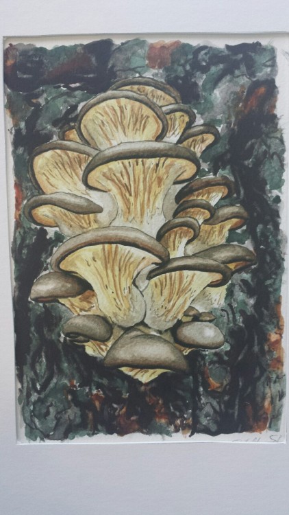 professorsilly:  My water colour final project.