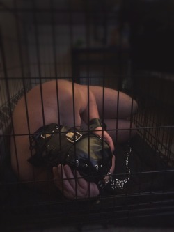 mistresstand-slave:Locked in a deprivation hood inside his cage