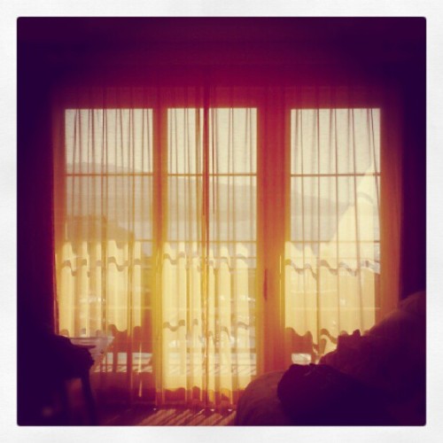 as the sun poured through *