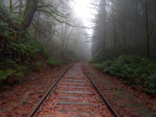 Spooky Railway by SiEl Photos on Flickr.
