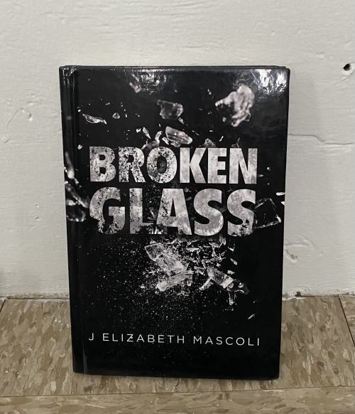 Broken Glass is a self-published fiction novel that I wrote when I was a teenager struggling with an