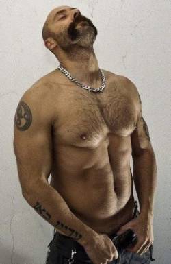 hairy chest - sexy muscle - mature men