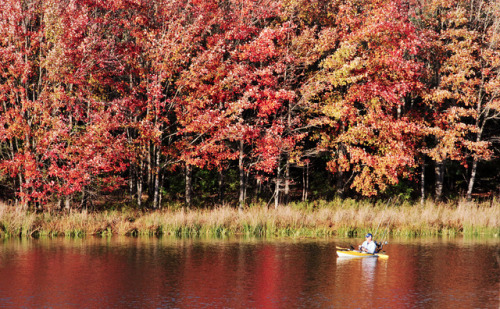 wereallgoingcuckoo:october in pennsylvania