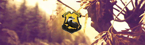 foundersofhogwarts:  your house will be something like your family within Hogwarts