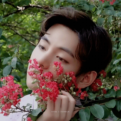 The Most Beautiful Flower