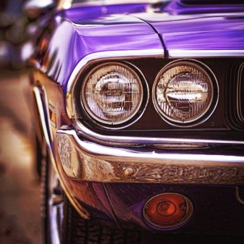 Awesome Pic!!! #americanmuscle #beautyatitsfinest #hotterthanhell #potd