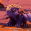 senseigrace