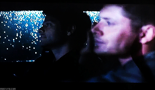 As We Found Out Recently, According To Misha, When You Like Someone You Gently Caress Them. So... There