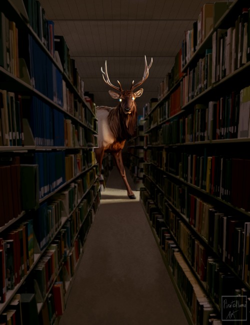 piratedllama-art:the librariandone in procreate adult photos