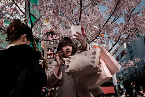 A young women takes a selfie under the first cherry blossoms at shinjukuPhoto: Pierre-Emmanuel Delét