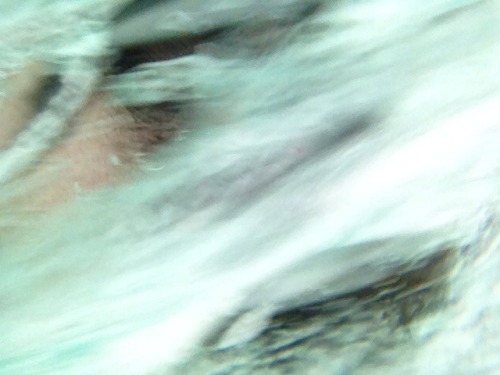 dagvlinder:maluboe:dagvlinder:i dropped my camera into the waterik hou zo veel van isabelik hou zo v