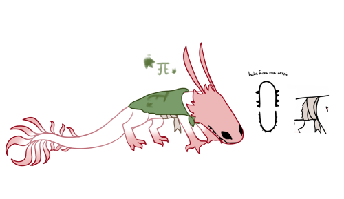 So...here's My Part For Scugshroom Colony Because I Think It's A Very Fun Designing Challenge