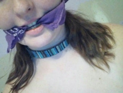 maouad:  Please Kik me yoyr gagged selfies