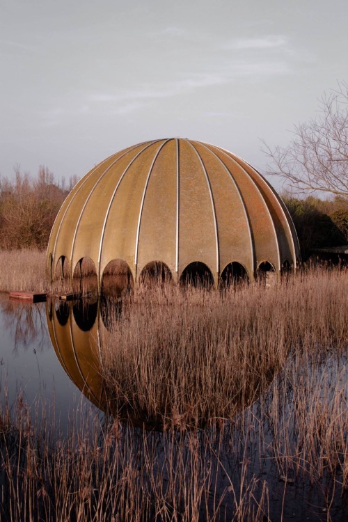 architectureofdoom:aph67:from Woodpecker series (2015)Abandoned disco in Milano Marittima