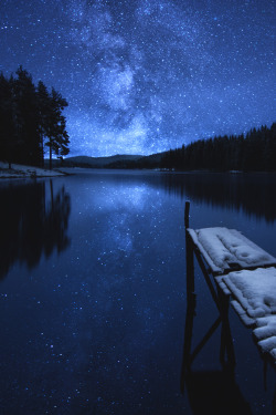 captvinvanity:   Real dreams   | Photographer | CV