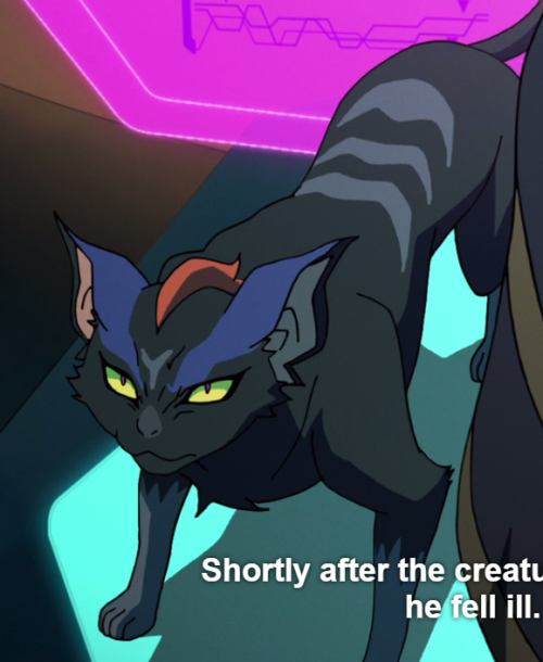 princessaluraa: Lotor stole his mom’s cat and gave him to his blind general, Narti, so she cou