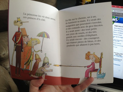 fuckyeahlesbianliterature:[image description: several photos of a picture book titled “La princesse 