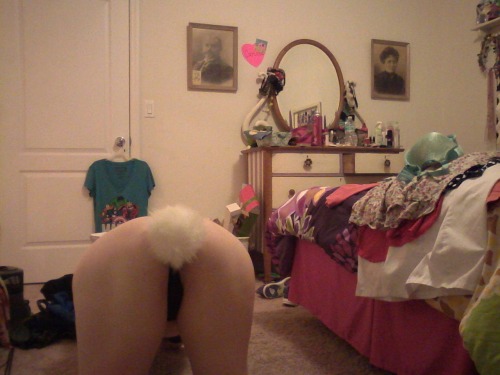 babygirrrl13:  Bunny, bunny, bunny… such adult photos