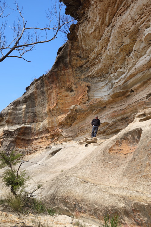 2021: The imaginatively-named “Wind-eroded Caves”. Cross-bedding - check. Honeycomb