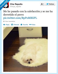 alochucknorris:  Helado de perro por @ninya_repollo