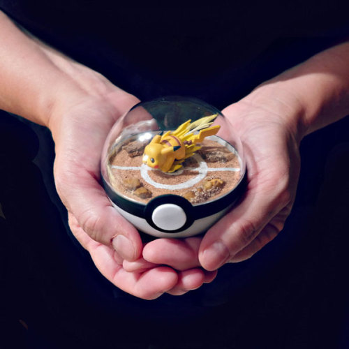 pxlbyte: Poké Ball Terrariums I wasn’t even aware that this was a thing, but you can apparently buy