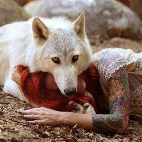 I need a wolf&hellip;