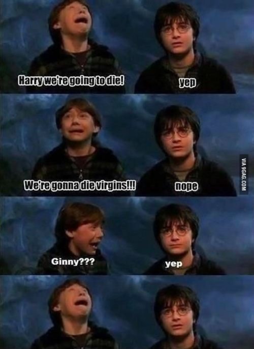 daily-harry-potter:  Older brothers don’t want to know that kind of stuff.http://daily-harry-potter.tumblr.com