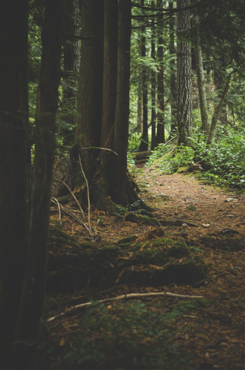 deeplovephotography:  portfolio | flickr | facebook | society6   