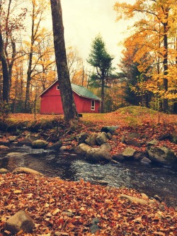 Autumn Colour Mosaic