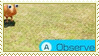 observe stamp