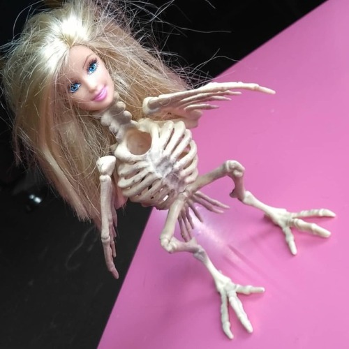 champagnemanagement: my new favorite barbie