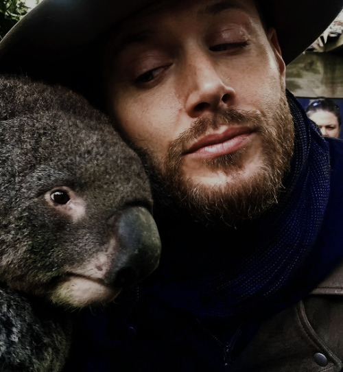 justjensenanddean: Jensen Ackles | Wild Action Zoo, Australia, May 2019[x] 