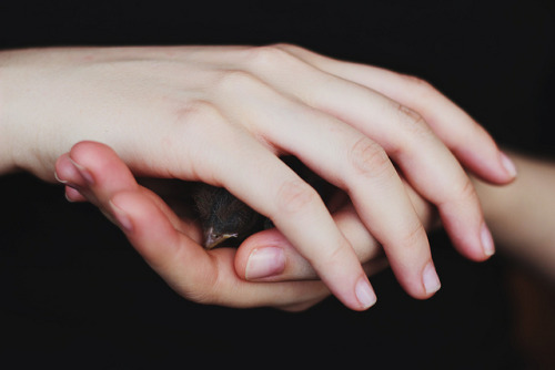 Are your hands so clean ?