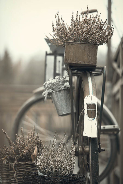 eclecticism makes life interesting