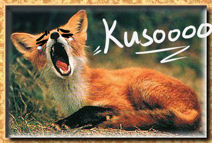 chirijaraiden:  Kawaii animal pics desu. 