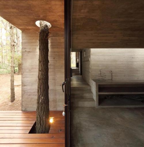 house-of-gnar:  Concrete and glass summer house | BAK Arquietctos 