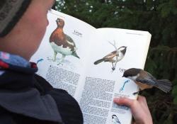 sehuns-lips: the-almighty-me-called-jojo:  sixpenceee:  Bird enthusiast Skjalg-Helmer Vian (14) from Vadsø, Norway was reading about the Grey-headed chickadee (Poecile cinctus) when an actual one swooped in to see what all the fuss was about. The boy’s