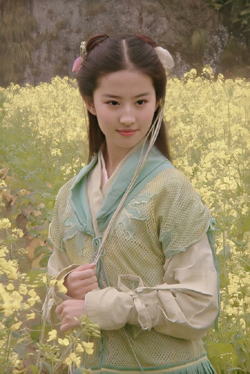 Liu Yifei as 赵灵儿 