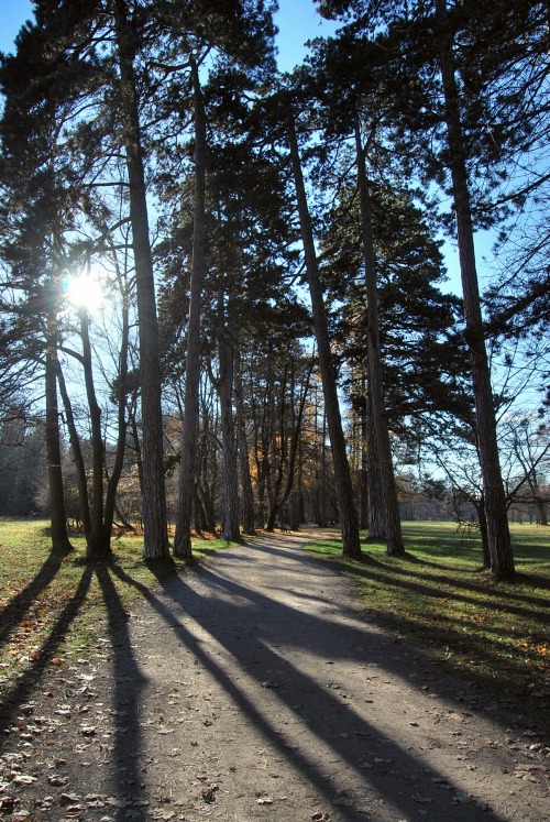 blutundrunstig:  Welcoming December at Englischer Garten  