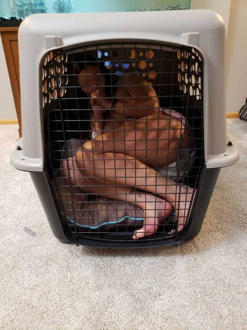 I’ve never been one for pet play, but if the cage fits….😈  [18+ please keep caption]