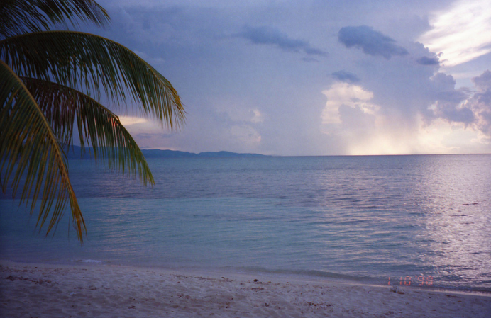 labonitafanny:Montego Bay Jamaica Palm Tree Sunset Oct 1998 - Tumblr Pics