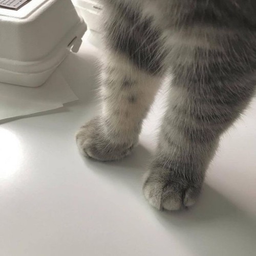 ?!